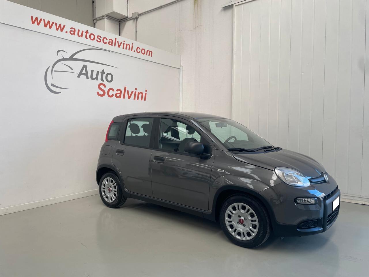 Fiat Panda 1.0 FireFly S&S Hybrid