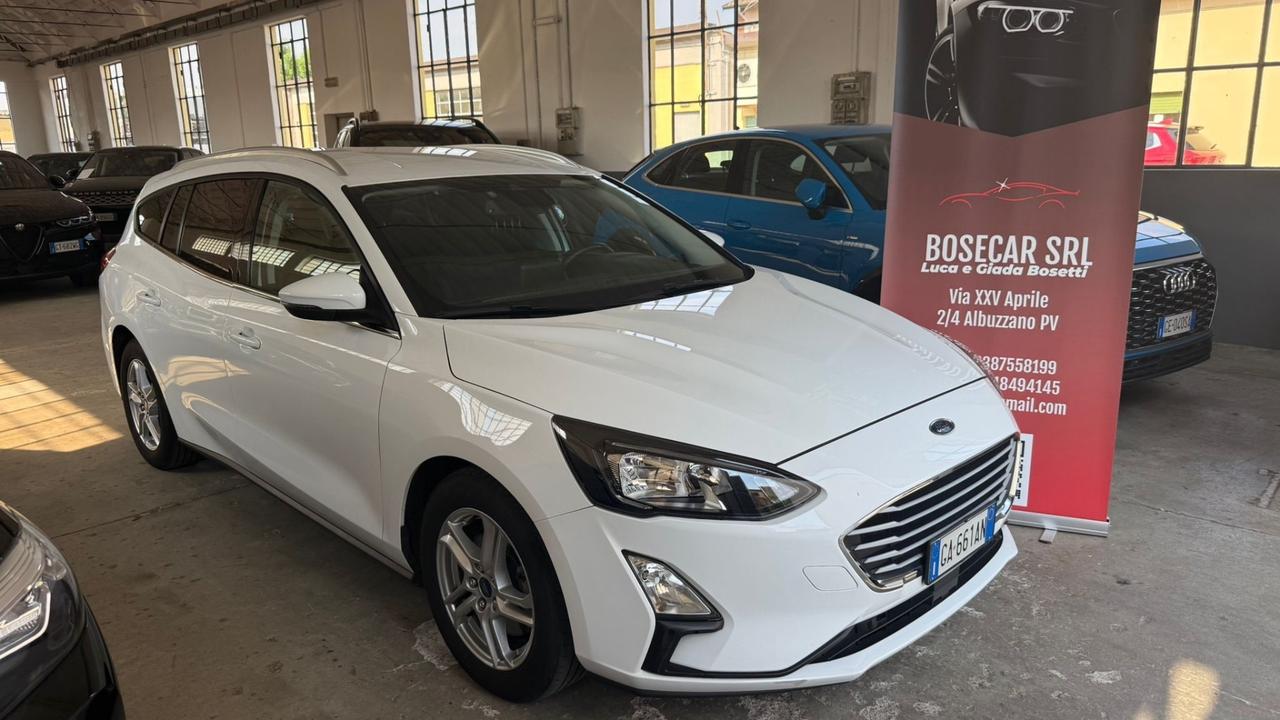 Ford Focus 1.5 EcoBlue 120 CV automatico SW Business Co-Pilot
