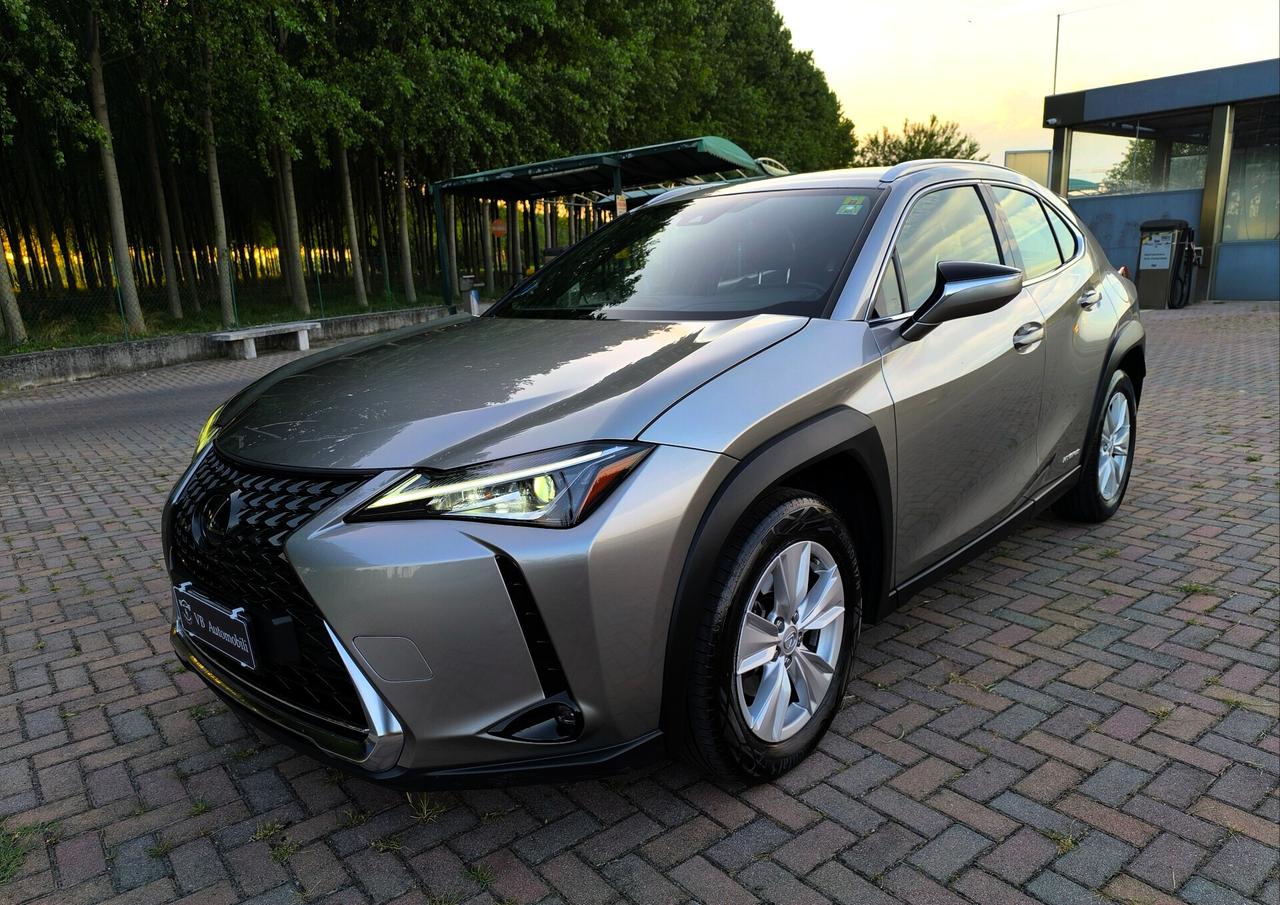 Lexus UX Hybrid Business