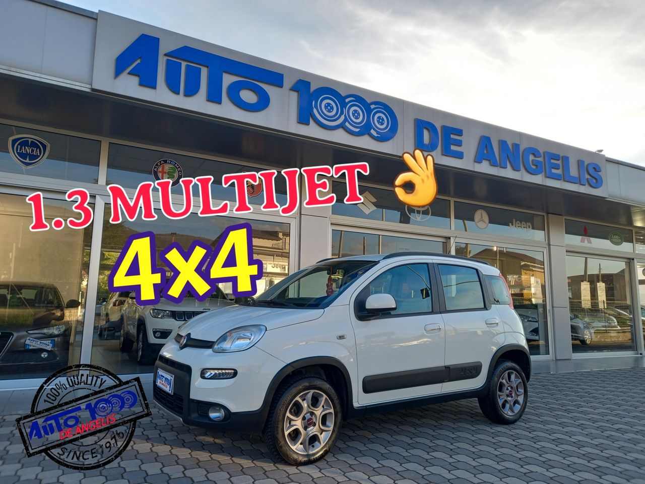 Fiat Panda 4X4 BLOCCAGGIO ELD 1.3 MULTIJET *TREKKING* FULL