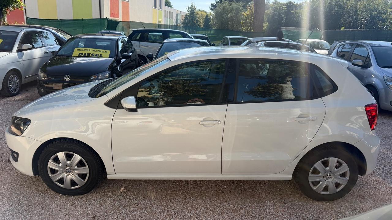 Volkswagen Polo 1.2 5 porte Trendline