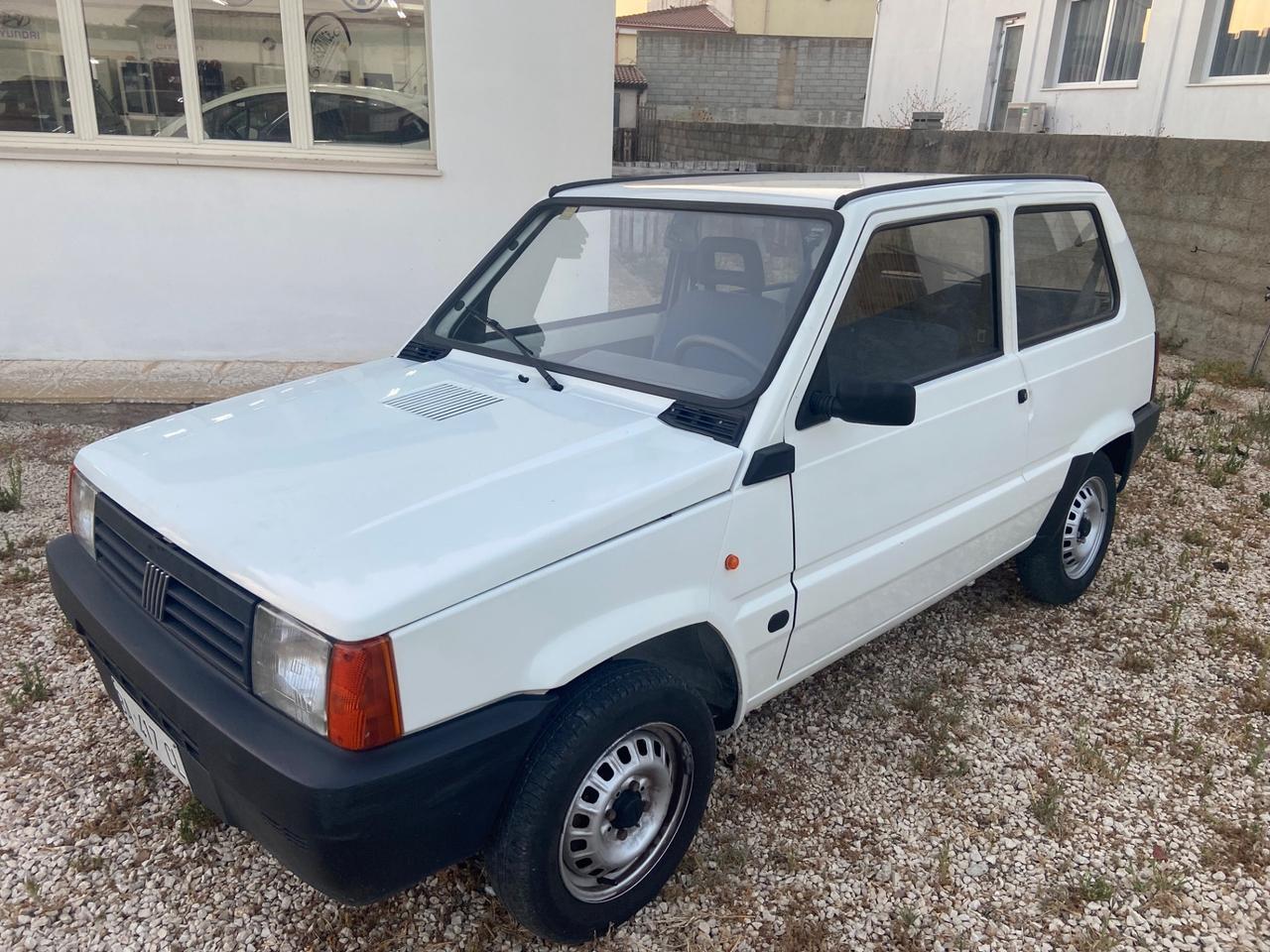 Fiat Panda 900 i.e. cat Young