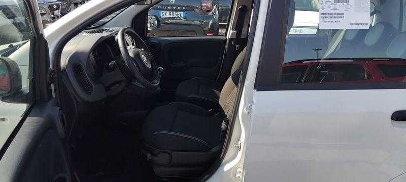FIAT Panda III 2024 1.0 firefly hybrid s&s 70cv 5p.ti