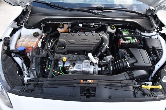 FORD Focus 1.5 EcoBlue 120 CV automatico SW