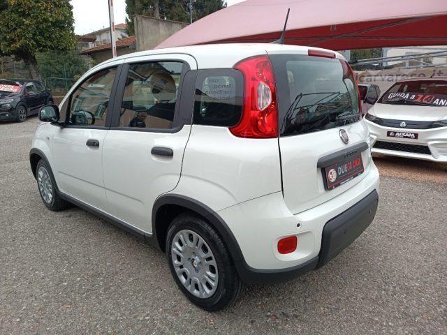 FIAT Panda 1.0 FireFly S&S Hybrid Pandina