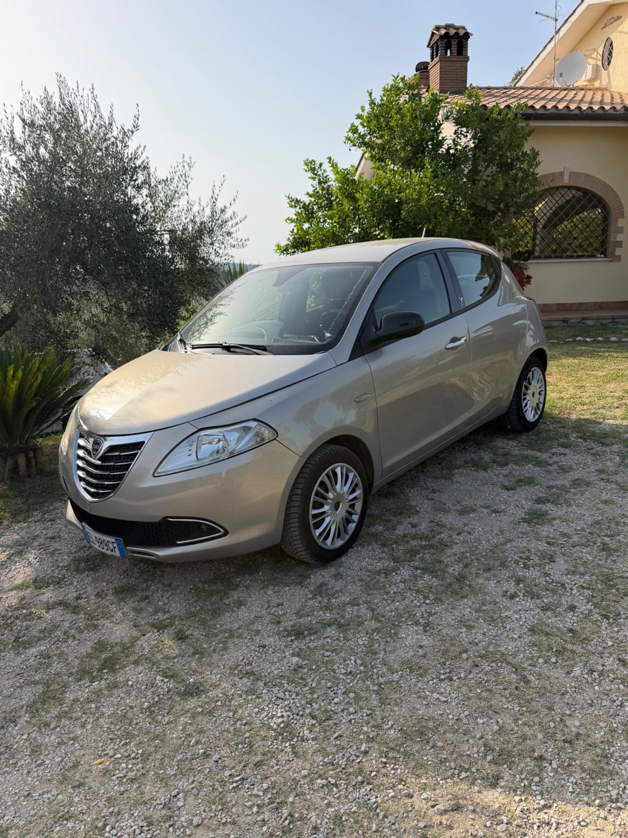 Lancia Ypsilon 1.3 MJT 16V 95 CV 5 porte S&S Platinum