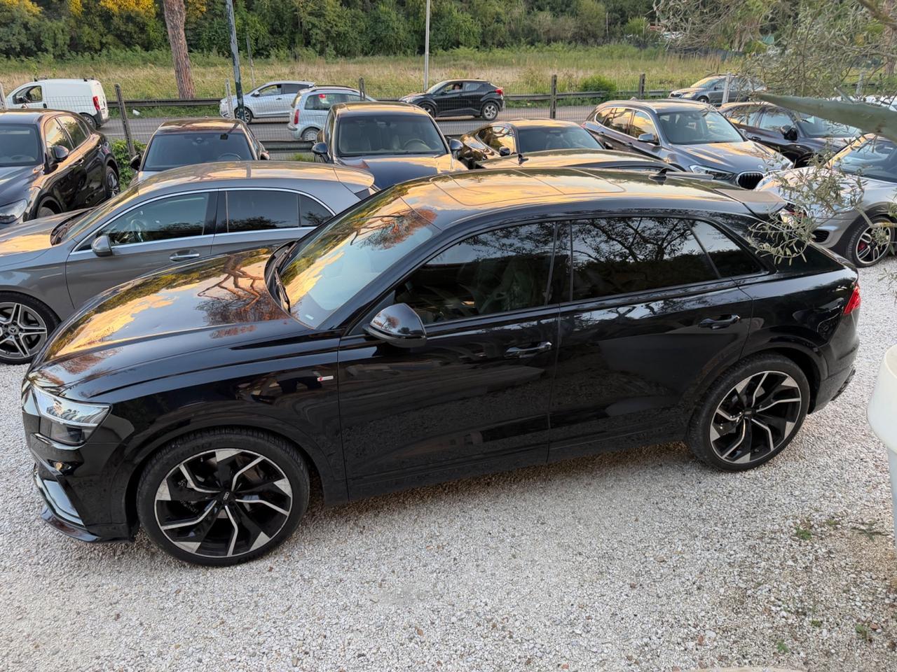 Audi Q8 50 TDI 286 CV quattro tiptronic Sport