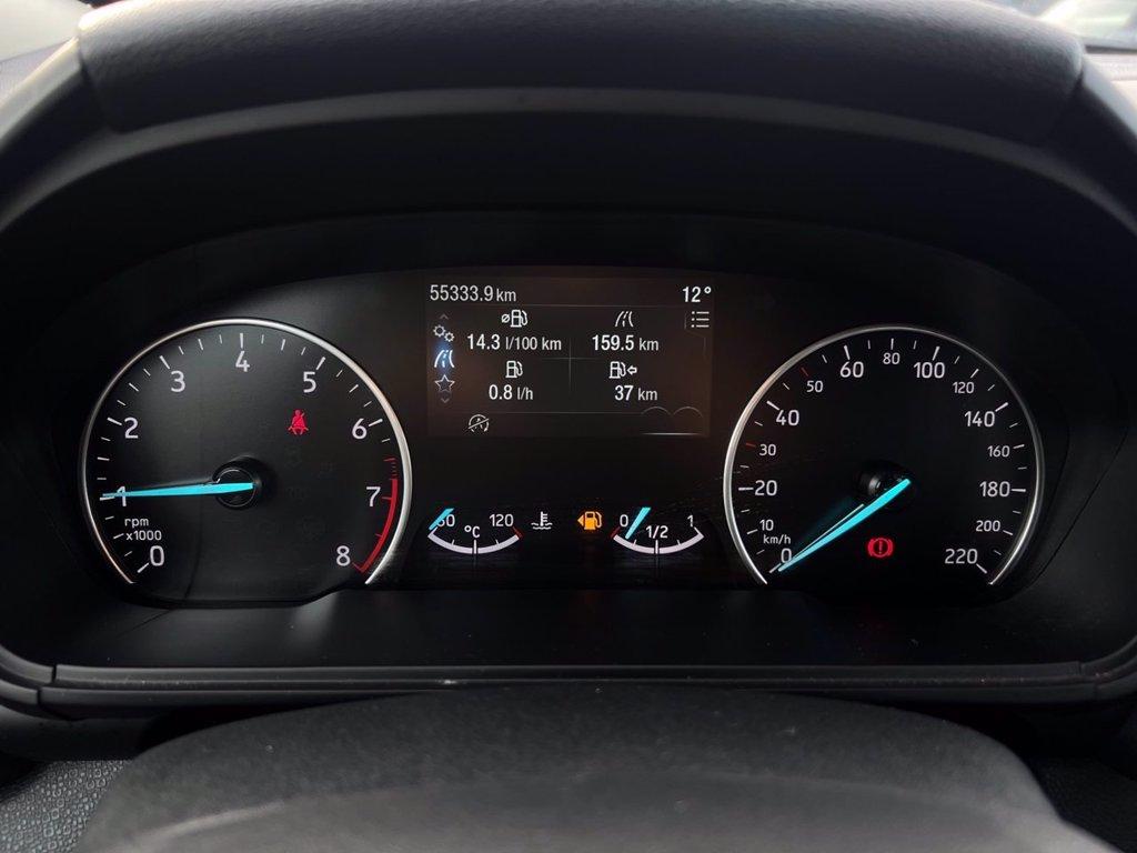 FORD EcoSport 1.0 EcoBoost 125 CV Start&Stop Active del 2022