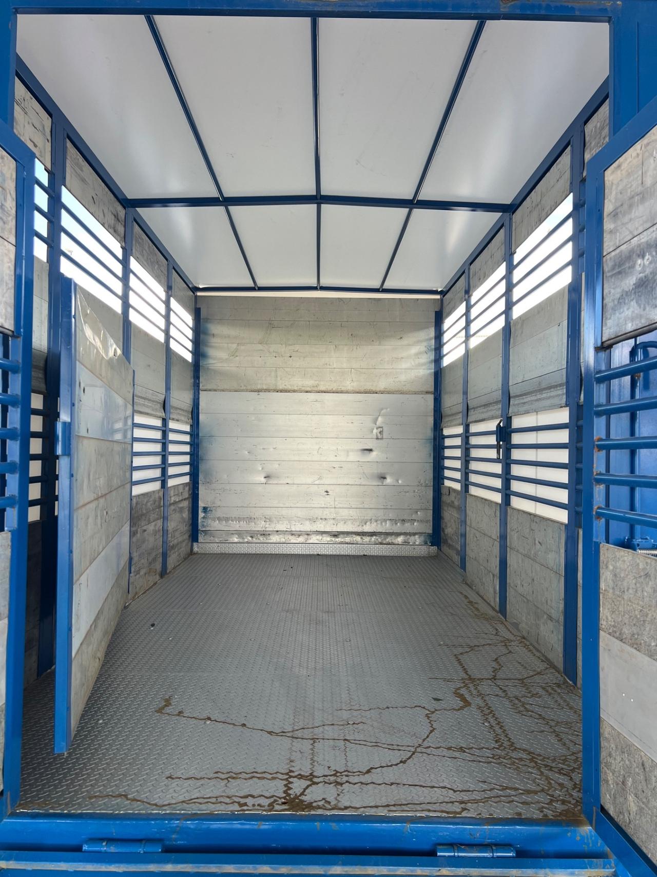 Iveco Daily 35c13 trasporto animali vivi Cavalli