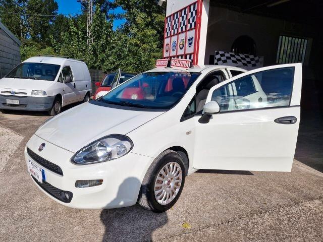 Fiat Punto 1.2 8V 5 porte CON SOLI KM 100000 NEOPATENTATI