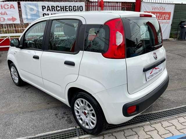 Fiat Panda Panda 1.2 Easy*NO OBBLIGO FINANZIAMENTO* PRONTA