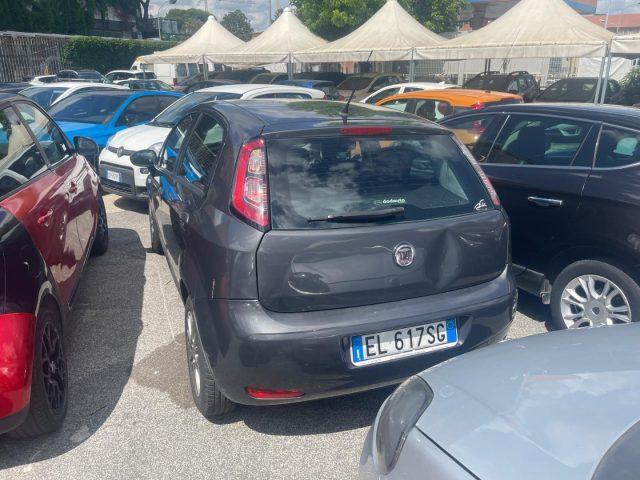FIAT Punto 1.2 8V 5 porte Lounge