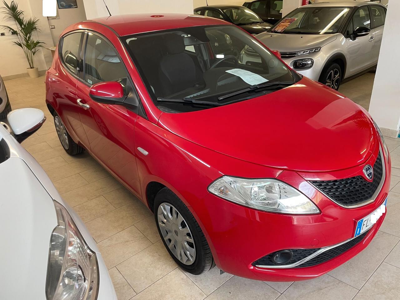 Lancia Y Ypsilon 1.2 Silver Tagliandata Distribuzione Neopatentati