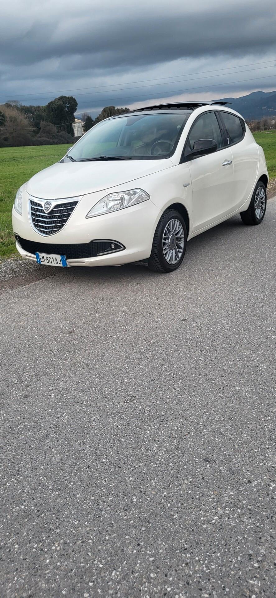 Lancia Ypsilon 1.3 MJT 16V 95 CV 5 porte S&S Platinum