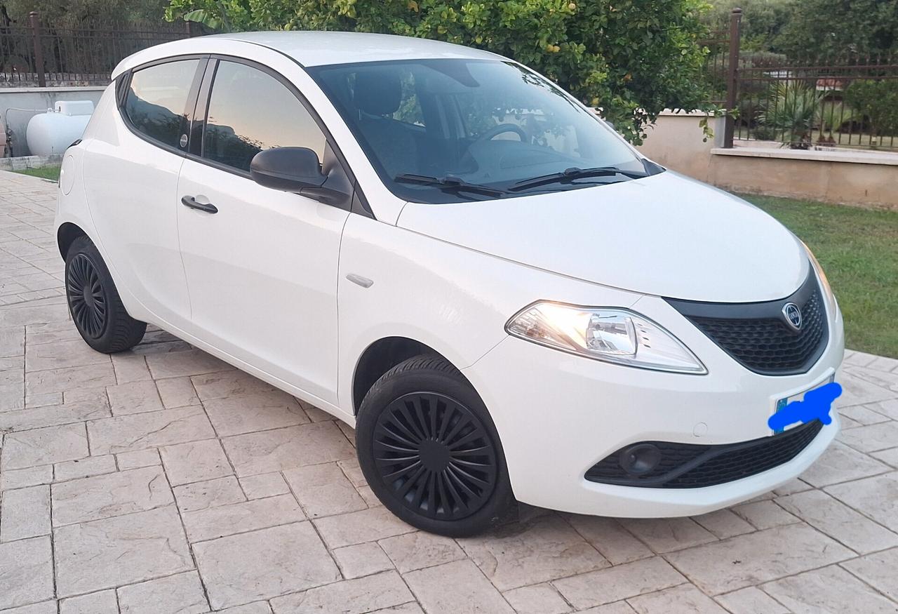Lancia Ypsilon 1.0 FireFly 5 porte S&S Hybrid Ecochic Silver