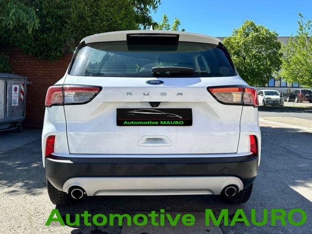 FORD Kuga 1.5 EcoBlue 120 CV 2WD Titanium Business