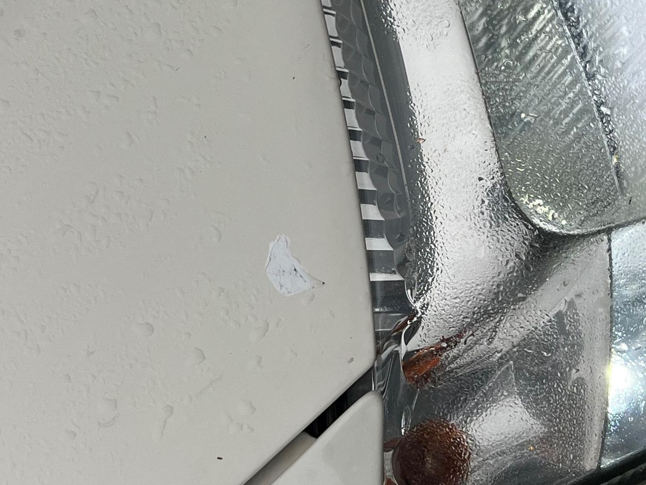 Fiat Panda Emotion 1.2 #7904