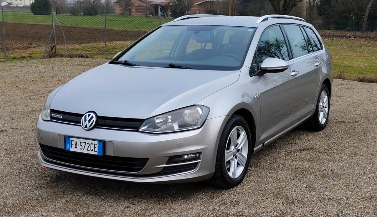 Volkswagen Golf Variant 1.4 TGI Executive 4 Free BlueMotion