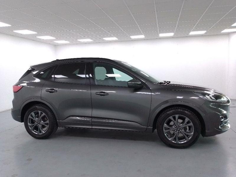Ford Kuga 1.5 ecoblue ST-Line 2wd 120cv auto