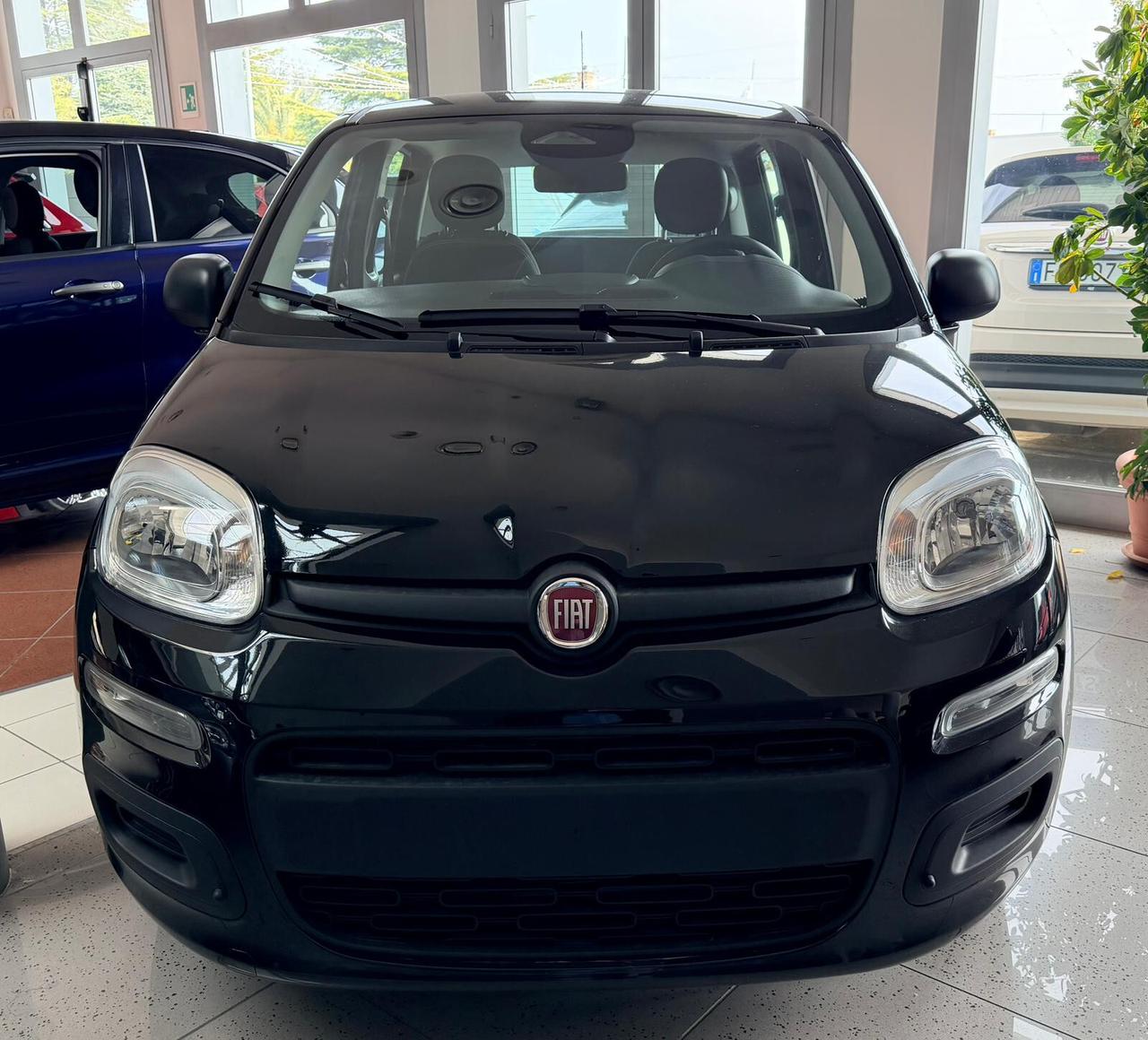 FIAT PANDA 1.0 HYBRID KM 0
