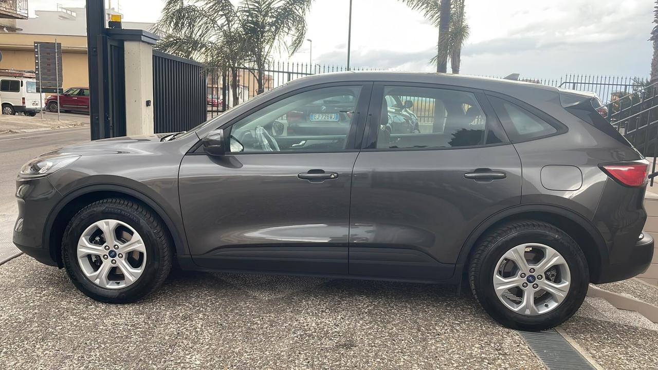 Ford Kuga 3ª Serie 1.5 EcoBlue 120 CV Aut. 2WD ST-Line X