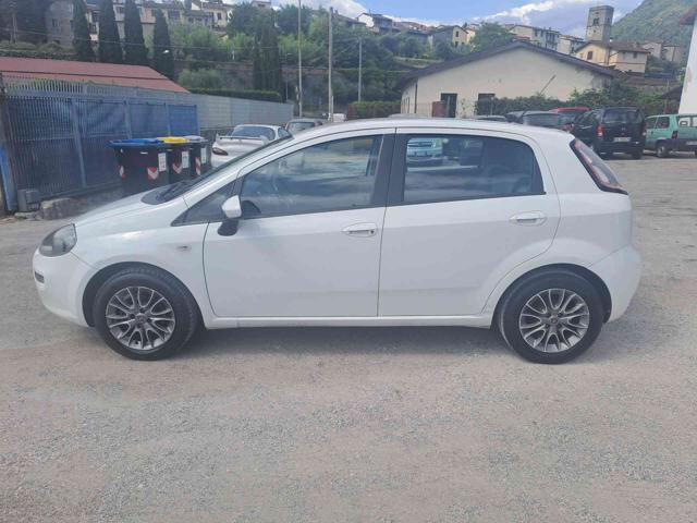 FIAT Punto 1.2 8V 5 porte Lounge