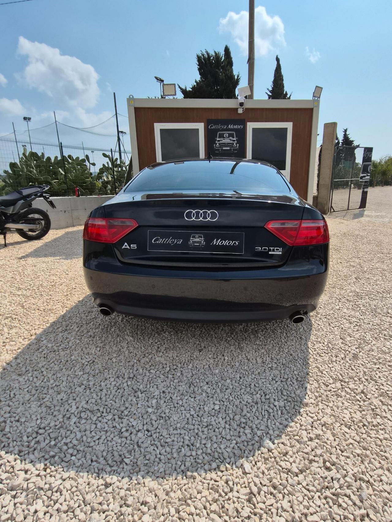 Audi A5 3.0 V6 TDI