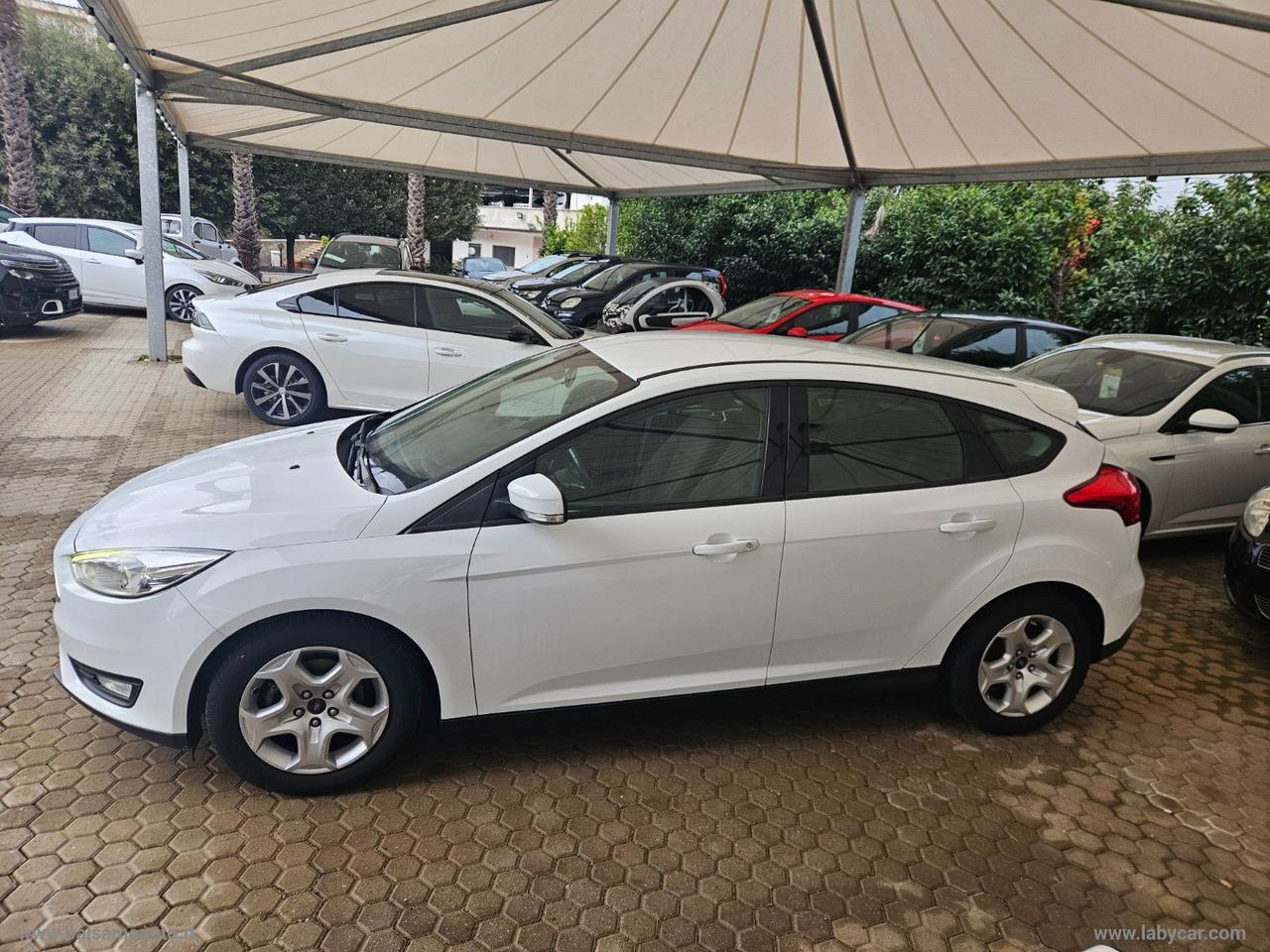 FORD Focus 1.0 EcoBoost 100 CV S&S Business