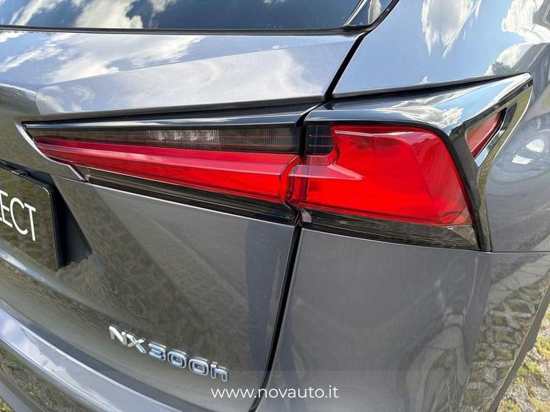 Lexus NX NX 300h 2.5 F Sport 4wd cvt