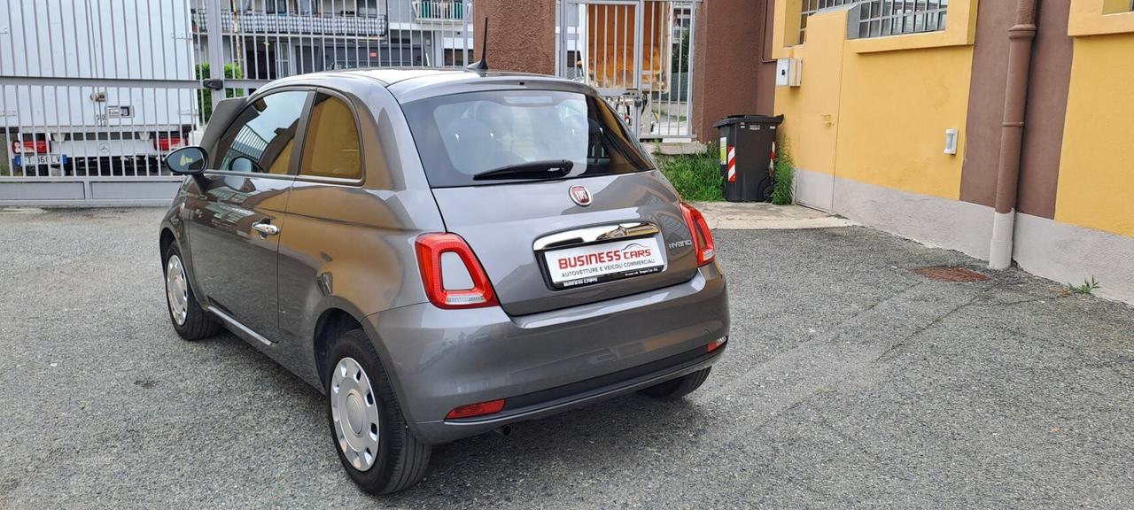 Fiat 500 1.0 70 CV HYBRID CULT - KM. 25000 - AUTO NEOPATENTATI -PRONTA CONSEGNA!