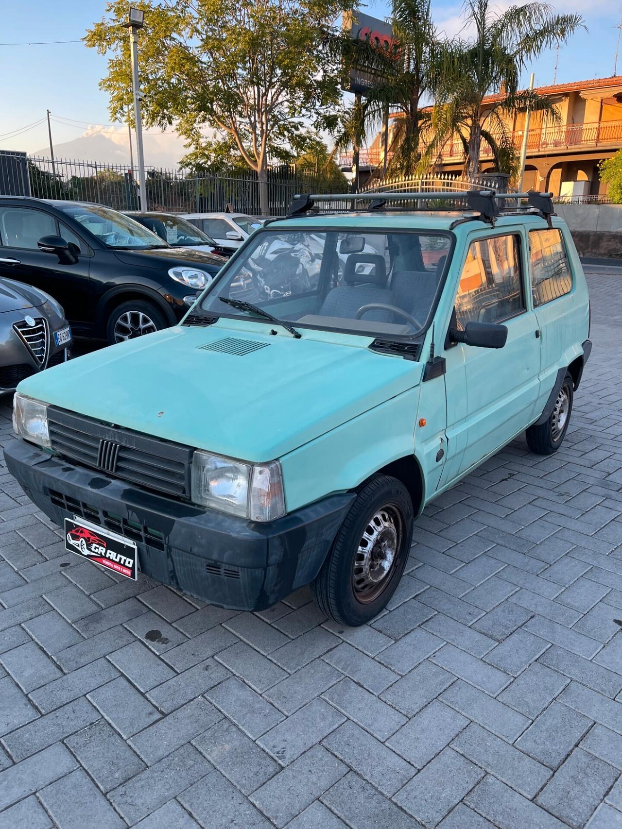 Fiat Panda 900 i.e. cat Young