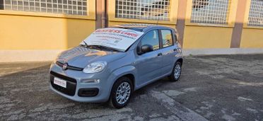 Fiat Panda 1.2 69 CV EASY- 4 POSTI - AUTO PER NEOPATENTATI! KM. 33.000-UNICO PROPRIETARIO!