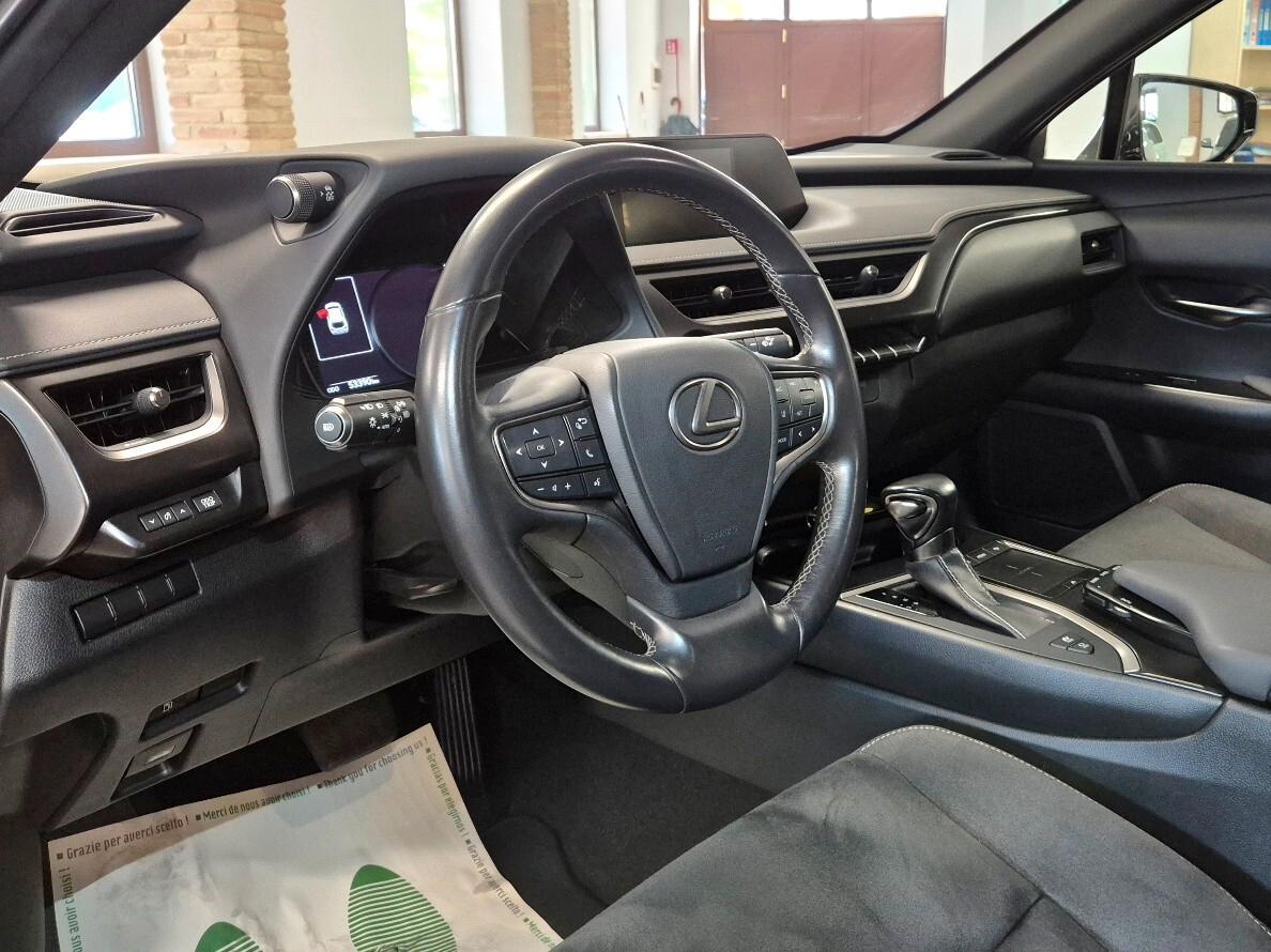 Lexus UX Hybrid 4WD Business