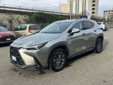 Lexus NX NX Plug-in 4WD Premium IVA ESPOSTA COMPRESA
