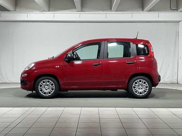 Fiat Panda 1.0 FireFly S&S Hybrid 5 Posti KM ZERO