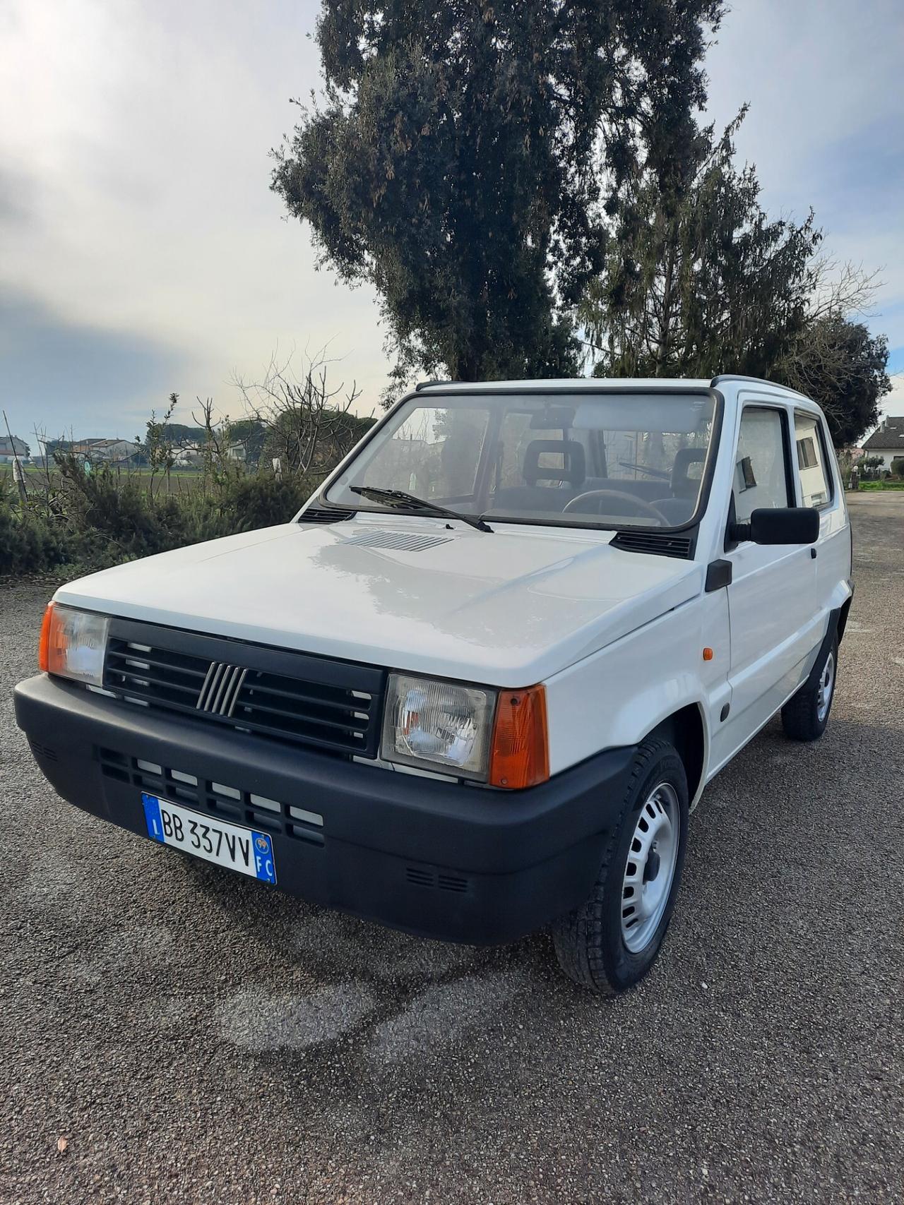 Fiat Panda 900 i.e. cat Young