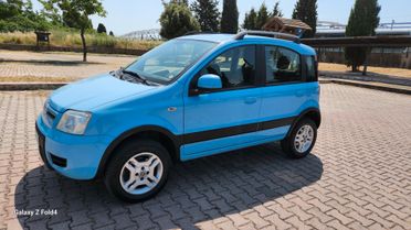 Fiat Panda 1.3 MJT 16V DPF 4x4 Climbing
