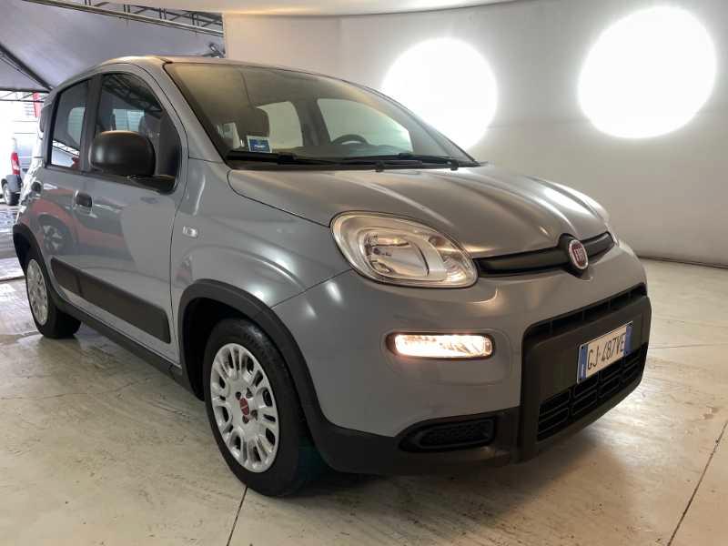 FIAT Panda III - Panda 1.0 firefly hybrid (Red) s&s 70cv