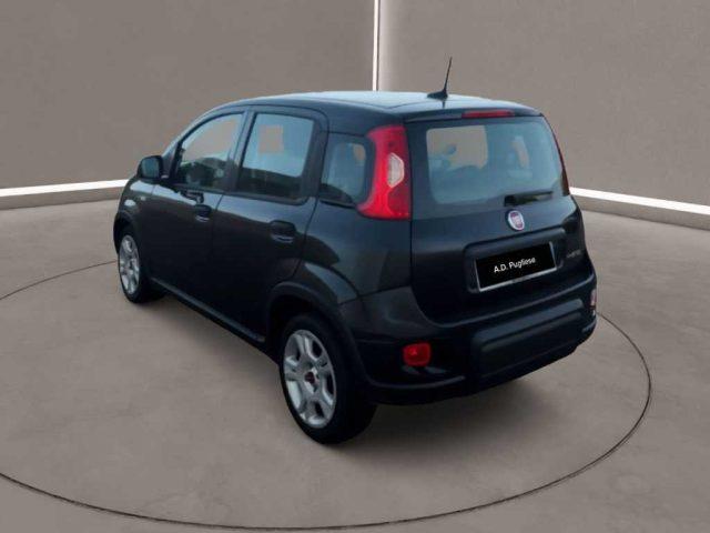 FIAT Panda 3ª serie - 1.0 FireFly S&S Hybrid