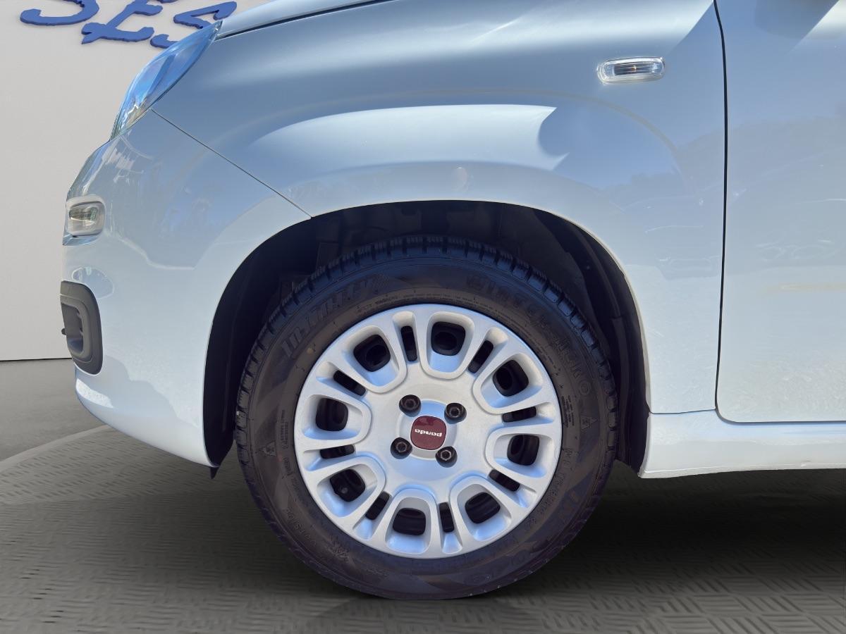 FIAT - Panda 1.0 hybrid s&s 70cv 5p.ti