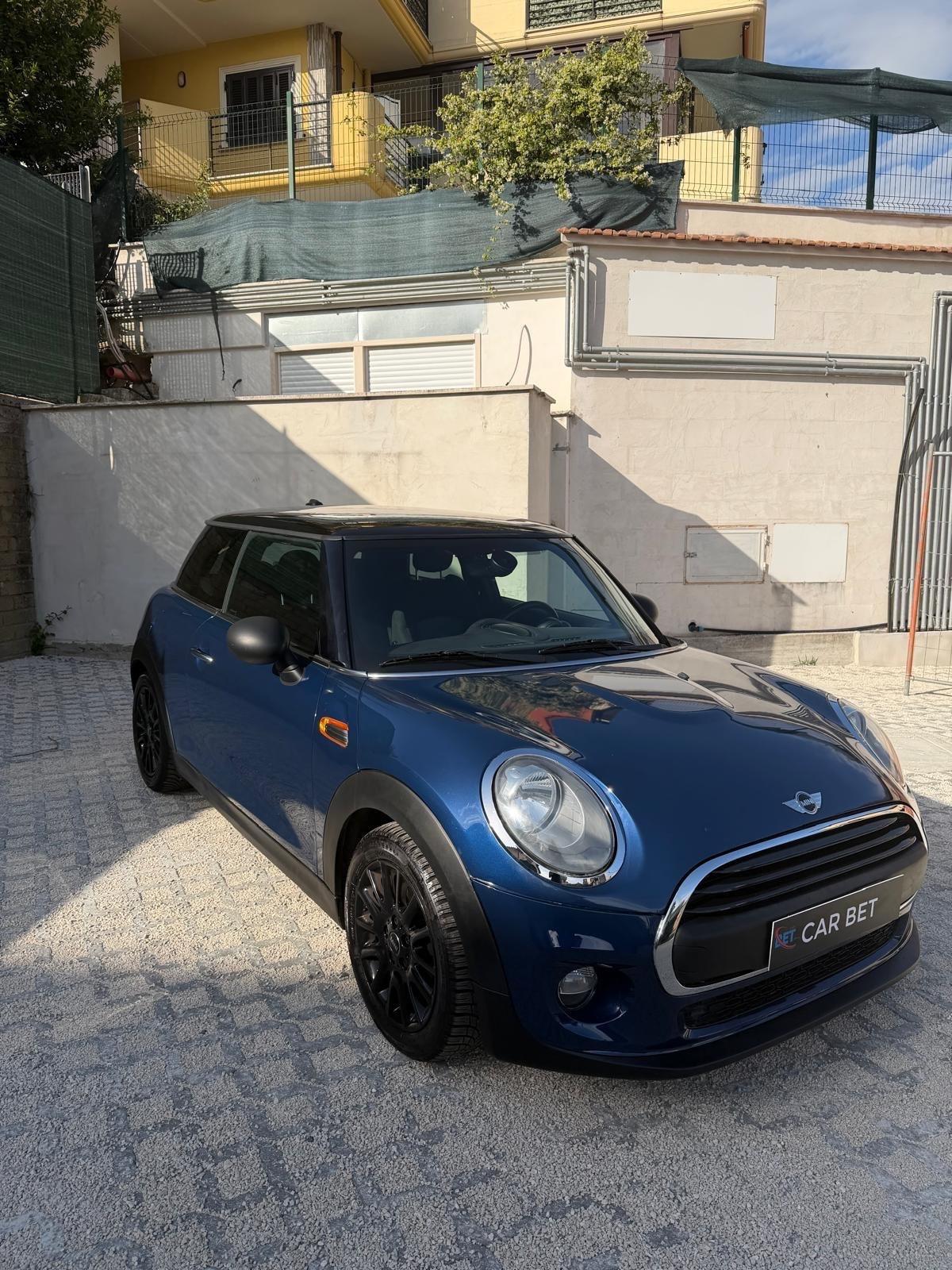 Mini 1.2 One