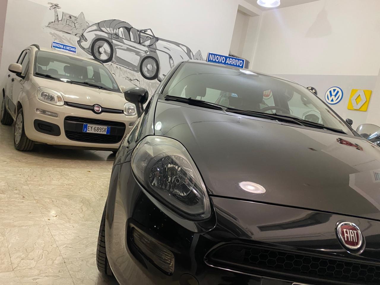 Fiat Punto 1.2 8V 5 porte Lounge