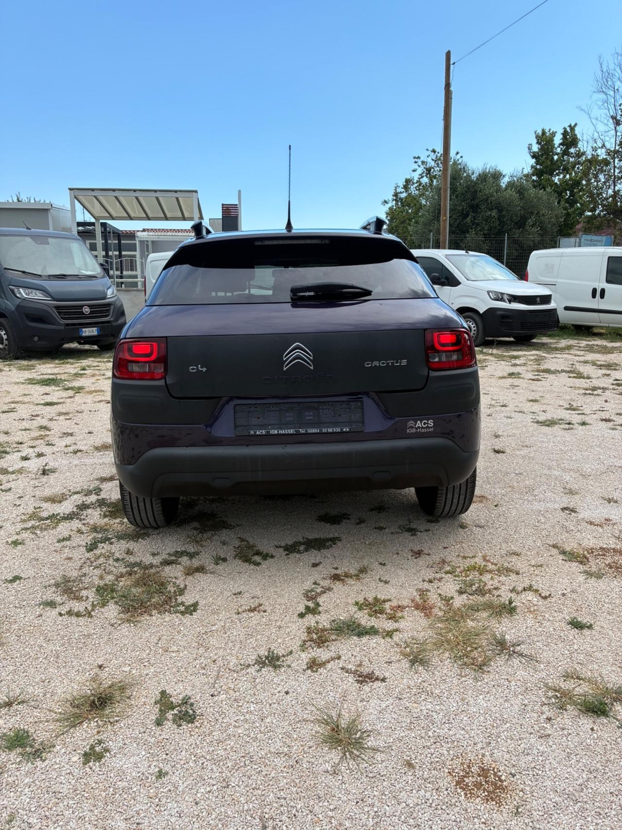 Citroen C4 Cactus pari al nuovo PREZZO REALE con GARANZIA