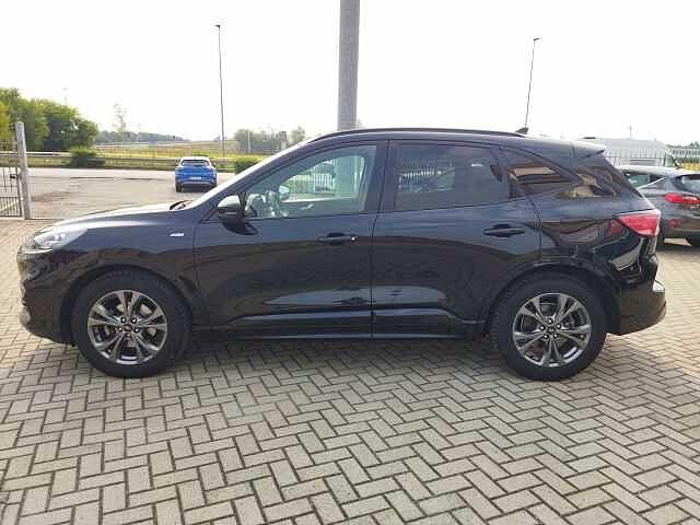 Ford Kuga 2.0 EcoBlue Hybrid 150 CV 2WD ST-Line X