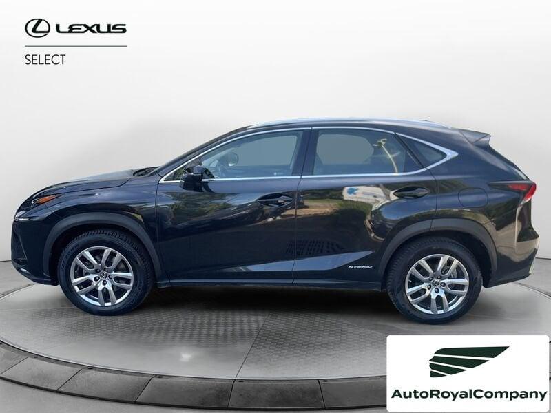 Lexus NX NX Hybrid Business VENDUTA