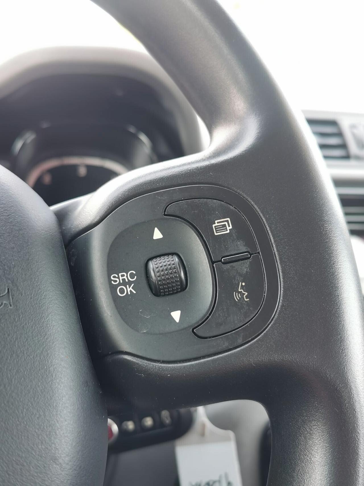 Fiat Panda 1.3 MJT S&S 4x4 - 2014