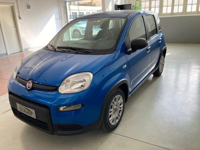 FIAT Panda 1.0 FireFly S&S Hybrid adatta ai neopatentati