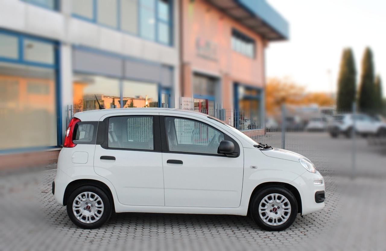 Fiat Panda 1.0 FireFly S&S Hybrid 70CV