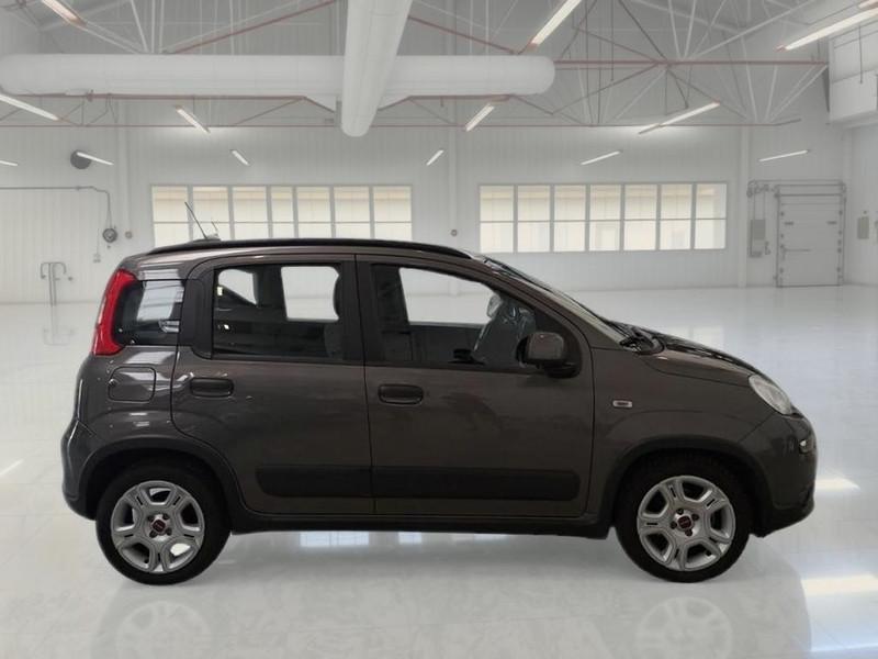 FIAT PANDA 1.0 FIREFLY 70 CV SES HYBRID CITY LIFE 5 PORTE BERLINA