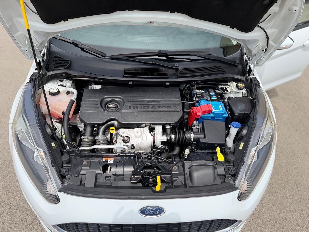 Ford Fiesta 1.5 TDCi 75CV 5 porte PERFETTA